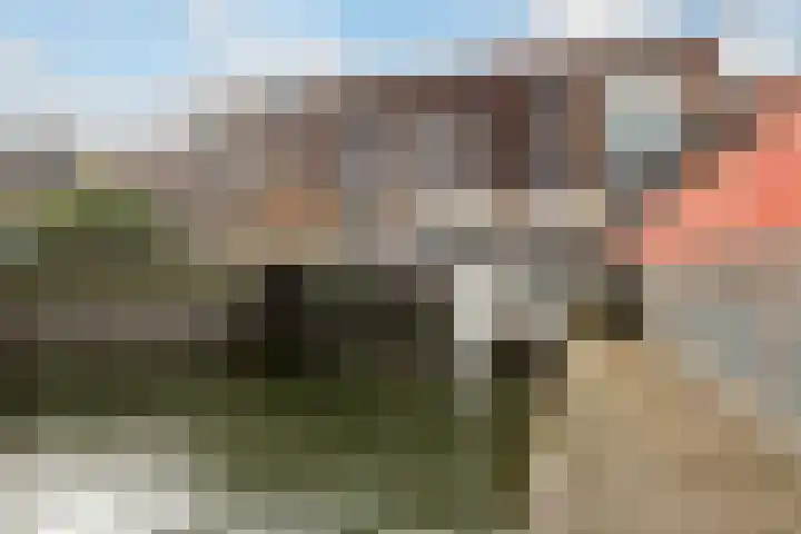 Zuiderzee op Zuid 126 Biddinghuizen thumbnail 8