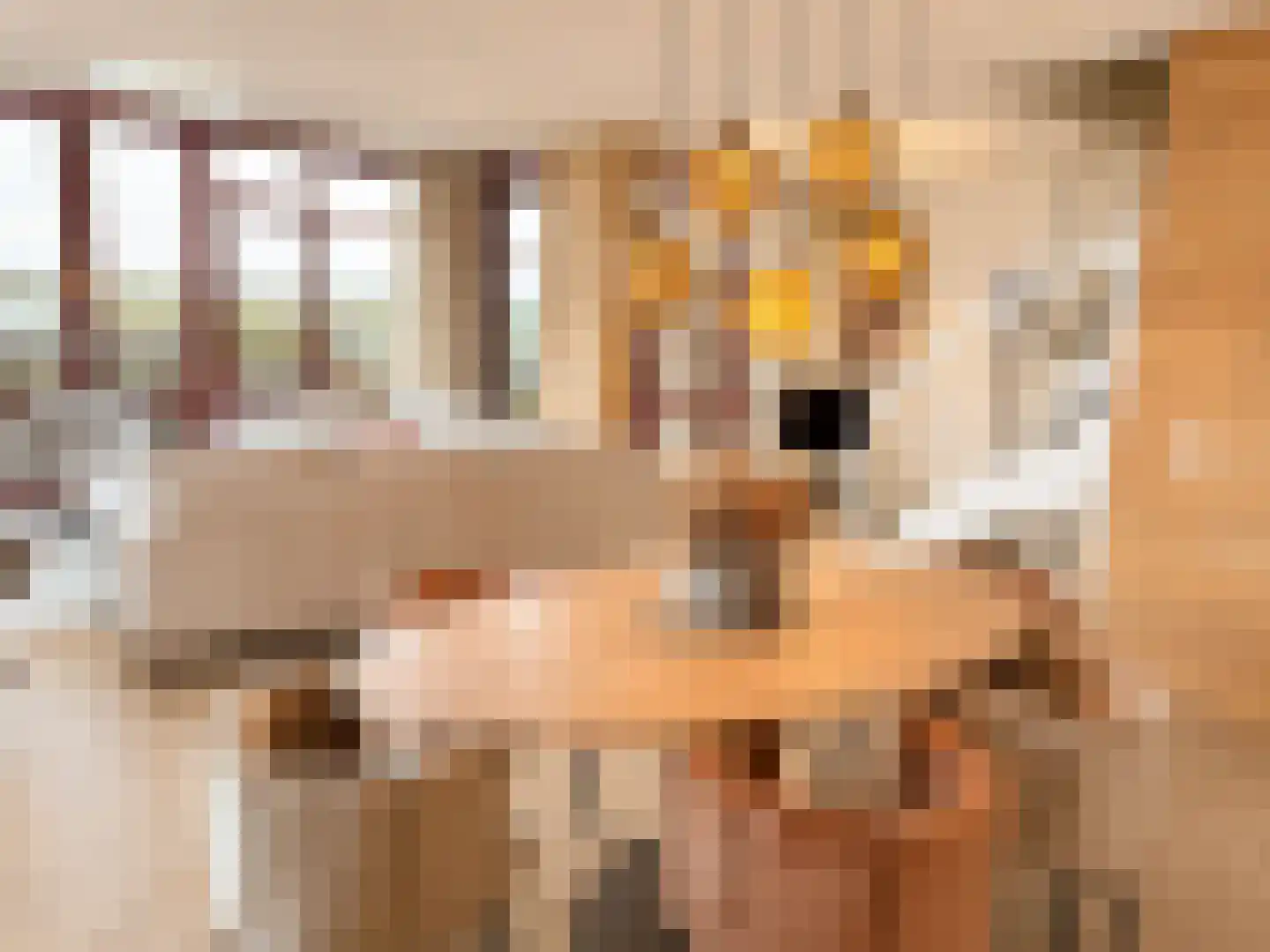 Zuiderzee op Zuid 134 Biddinghuizen thumbnail 7