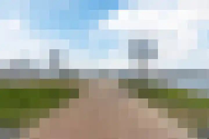 Zuiderzee op Zuid 139 Biddinghuizen thumbnail 31