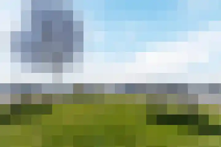 Zuiderzee op Zuid 139 Biddinghuizen thumbnail 37