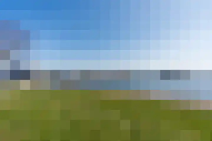 Zuiderzee op Zuid 139 Biddinghuizen thumbnail 38