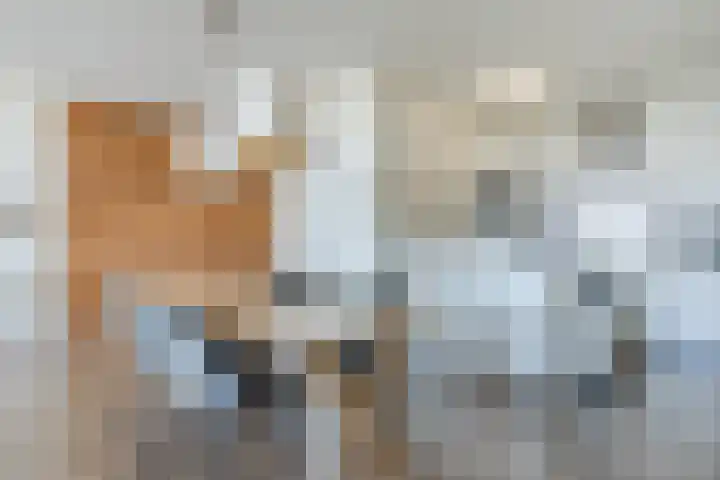 Zuiderzee op Zuid 139 Biddinghuizen thumbnail 8
