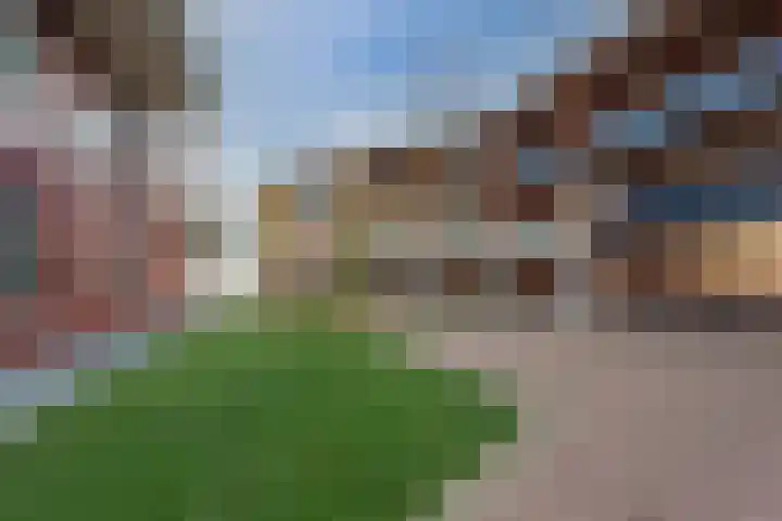 Zuiderzee op Zuid 151 Biddinghuizen thumbnail 44