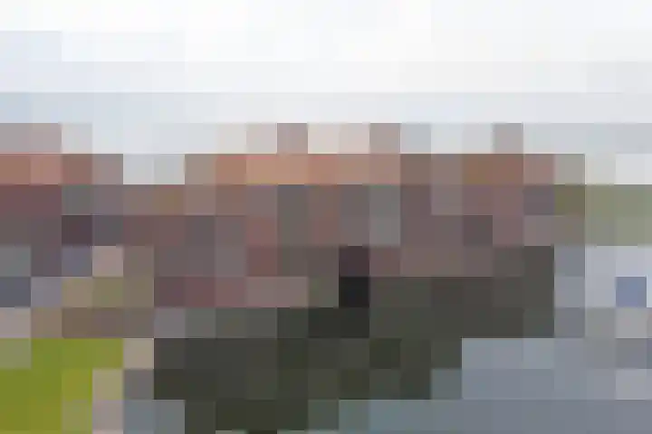 Zuiderzee op Zuid 151 Biddinghuizen thumbnail 48