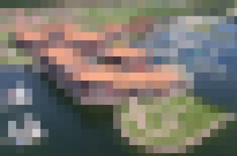 Zuiderzee op Zuid 154 Biddinghuizen thumbnail 22