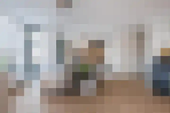 Zuiderzee op Zuid 156 Biddinghuizen thumbnail 12