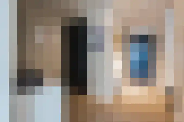 Zuiderzee op Zuid 156 Biddinghuizen thumbnail 4