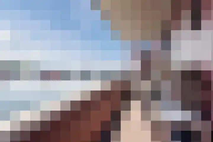 Zuiderzee op Zuid 156 Biddinghuizen thumbnail 8