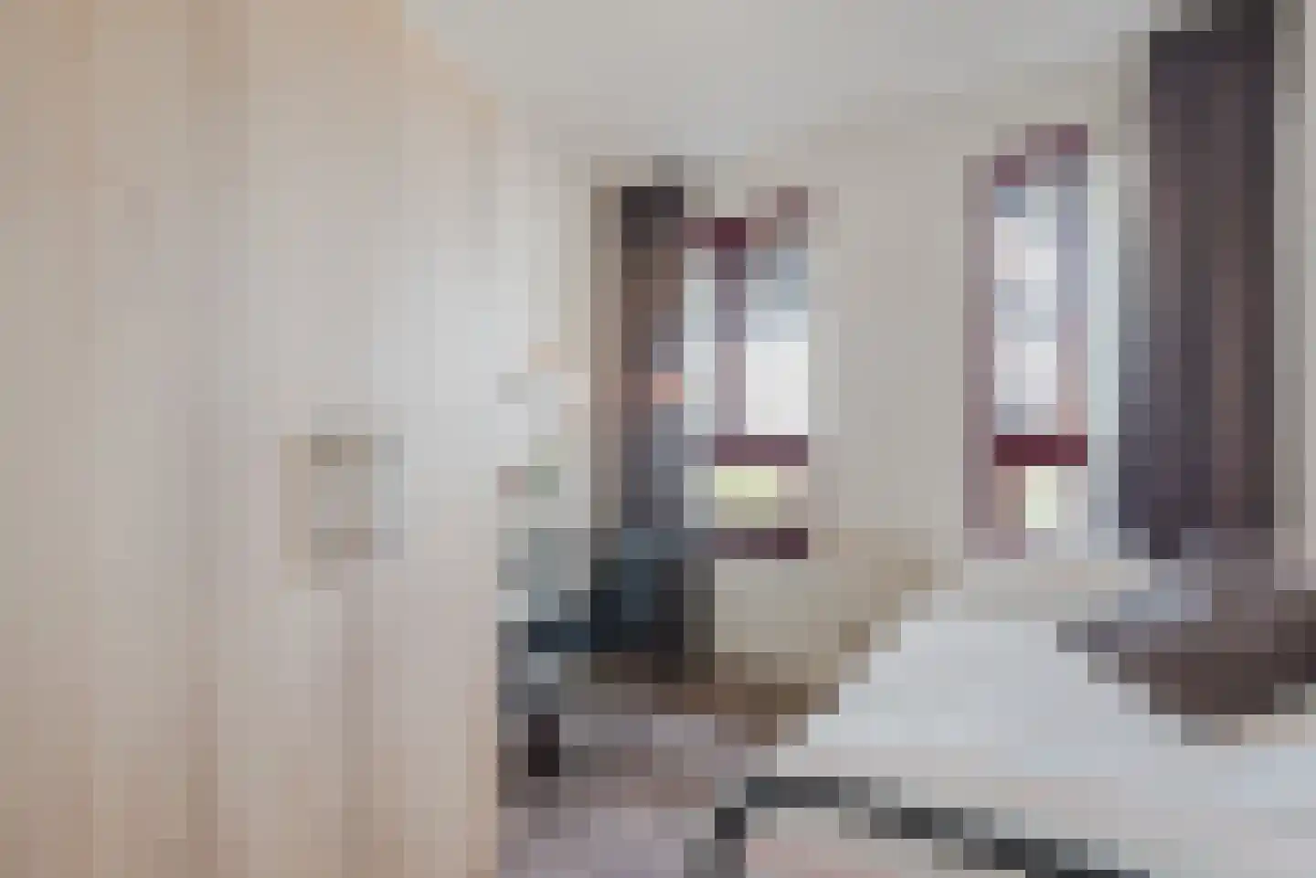 Zuiderzee op Zuid 2 Biddinghuizen thumbnail 27