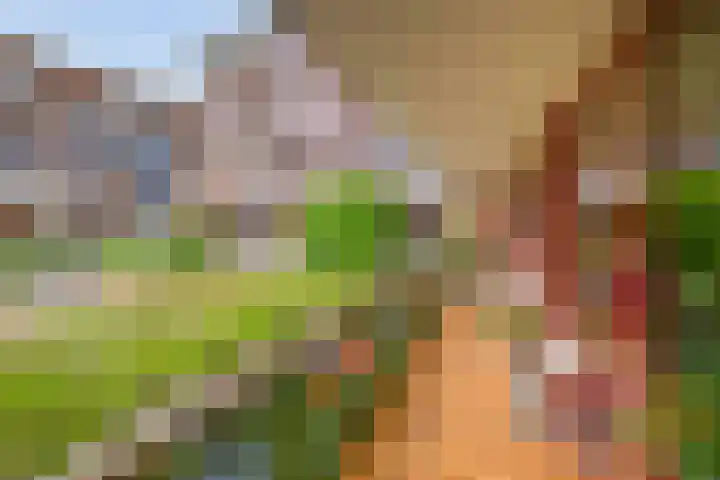 Zuiderzee op Zuid 21 Biddinghuizen thumbnail 13