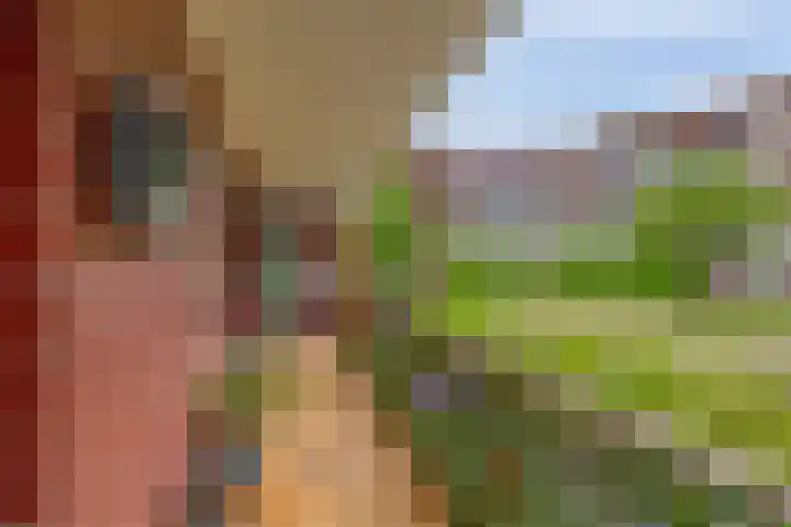 Zuiderzee op Zuid 21 Biddinghuizen thumbnail 14