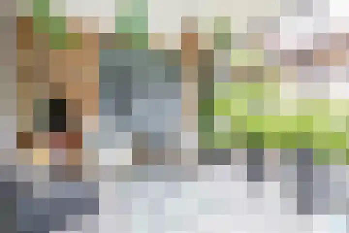 Zuiderzee op Zuid 21 Biddinghuizen thumbnail 15