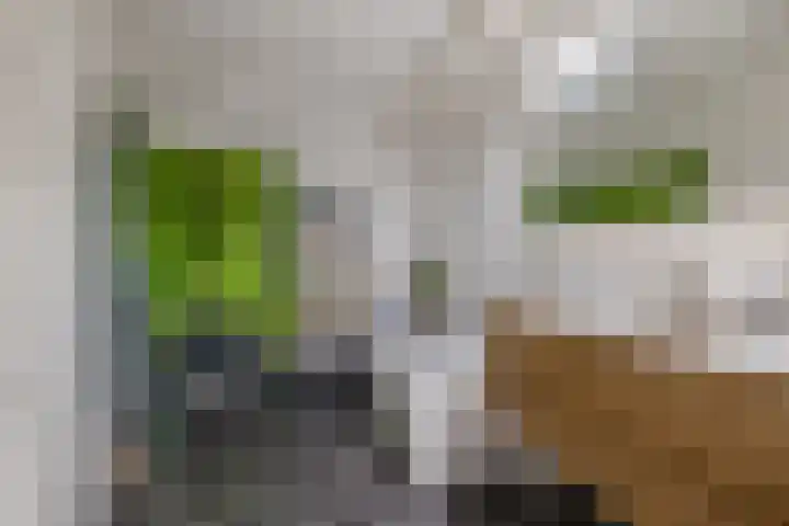 Zuiderzee op Zuid 21 Biddinghuizen thumbnail 19