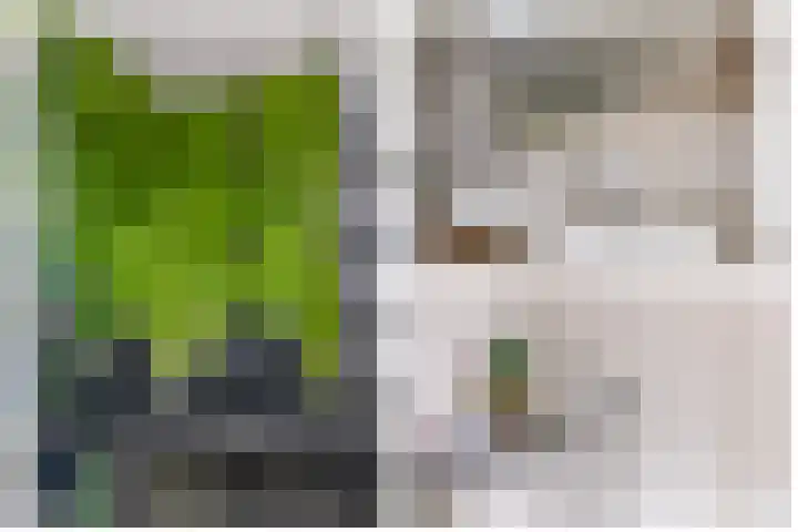 Zuiderzee op Zuid 21 Biddinghuizen thumbnail 20