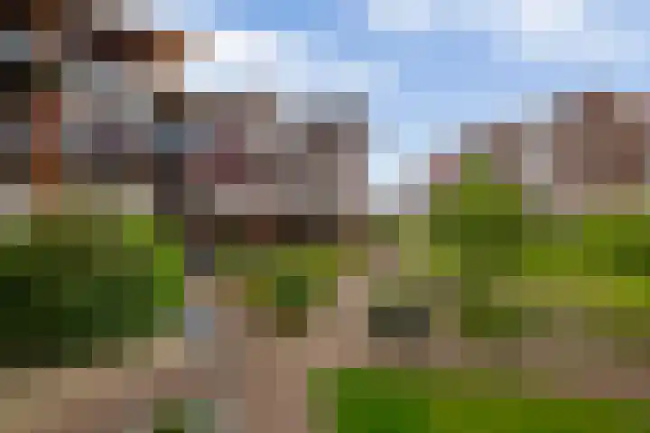 Zuiderzee op Zuid 21 Biddinghuizen thumbnail 22