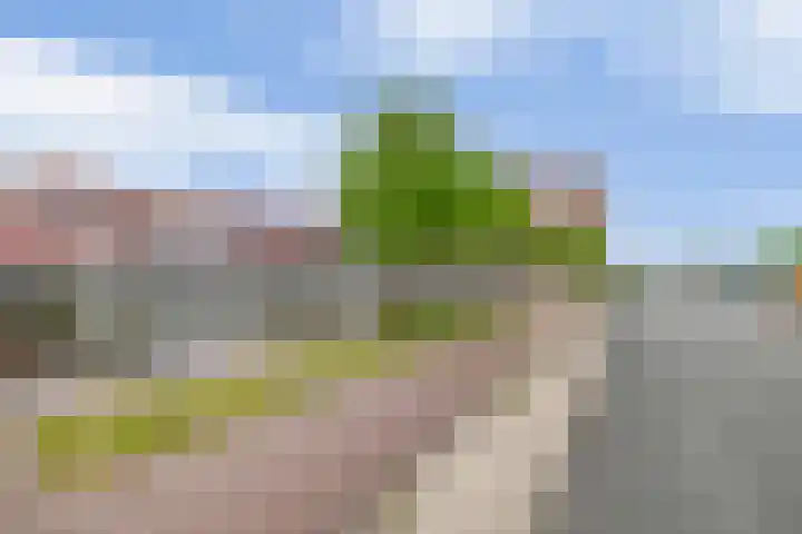 Zuiderzee op Zuid 21 Biddinghuizen thumbnail 25