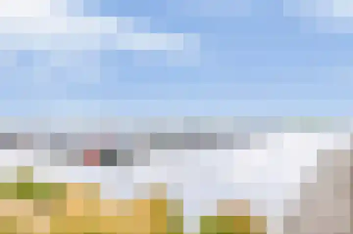 Zuiderzee op Zuid 21 Biddinghuizen thumbnail 26