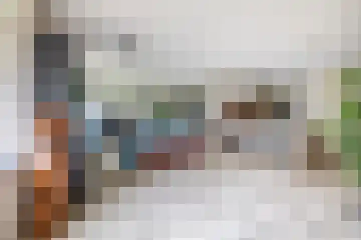 Zuiderzee op Zuid 21 Biddinghuizen thumbnail 8