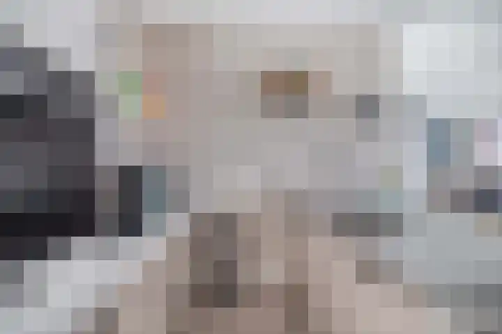 Zuiderzee op Zuid 3 Biddinghuizen thumbnail 10