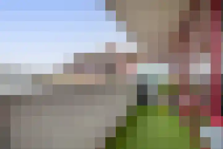 Zuiderzee op Zuid 3 Biddinghuizen thumbnail 17
