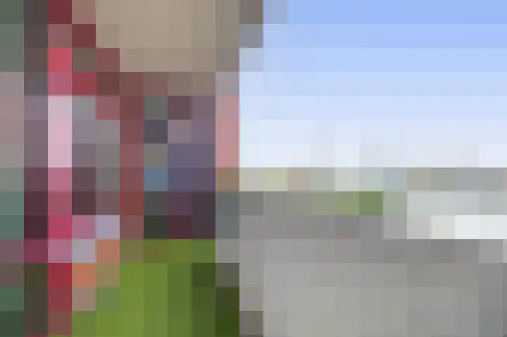 Zuiderzee op Zuid 3 Biddinghuizen thumbnail 19