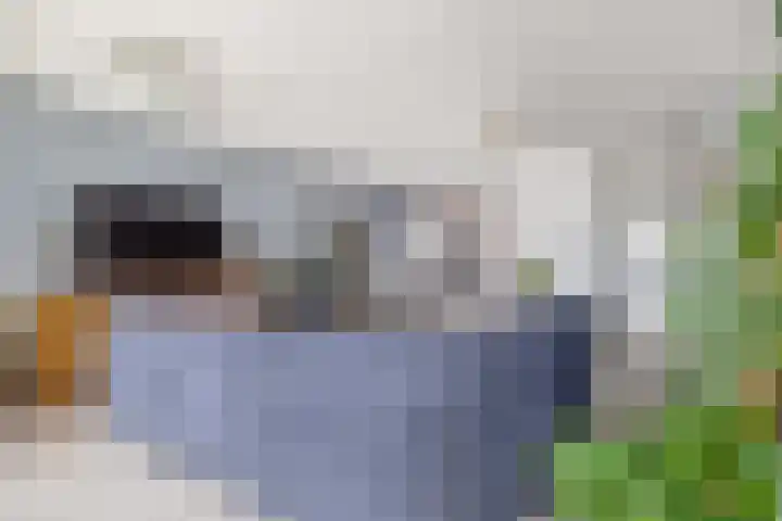 Zuiderzee op Zuid 3 Biddinghuizen thumbnail 20