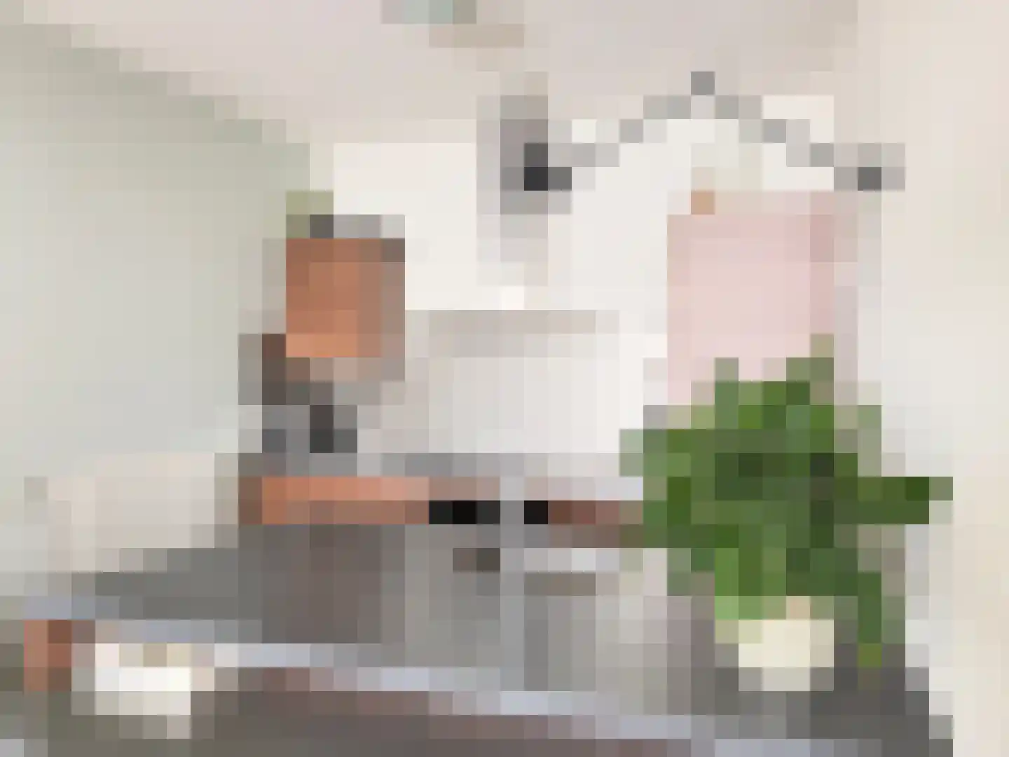 Zuiderzee op Zuid 33 Biddinghuizen thumbnail 14