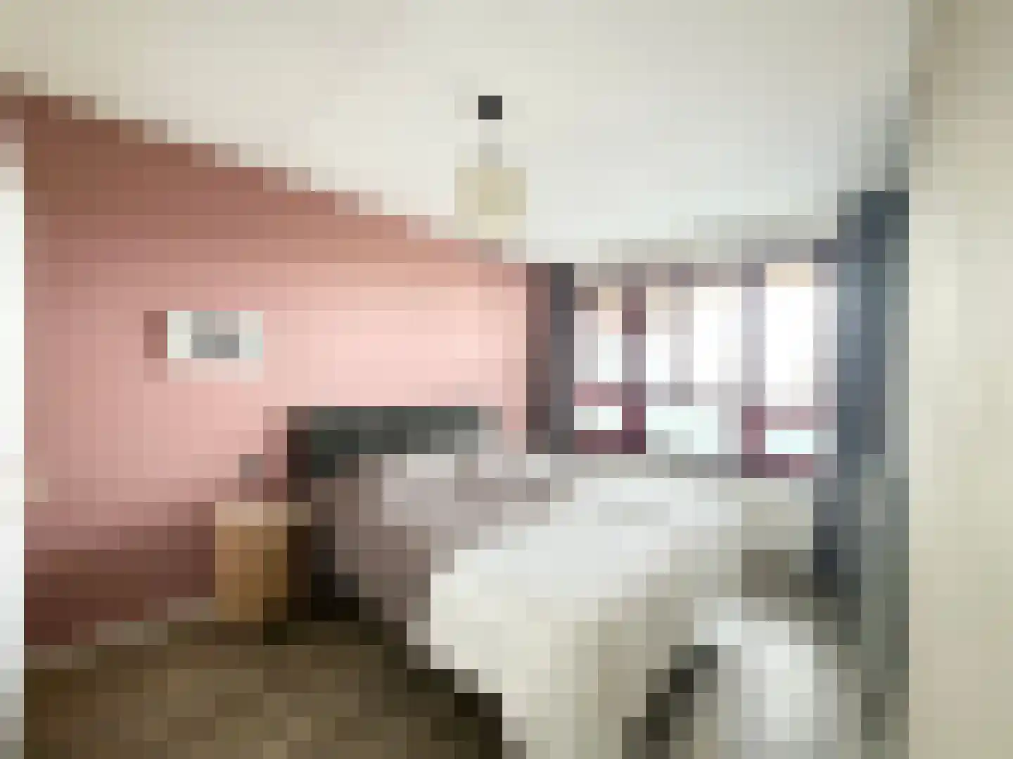 Zuiderzee op Zuid 33 Biddinghuizen thumbnail 28