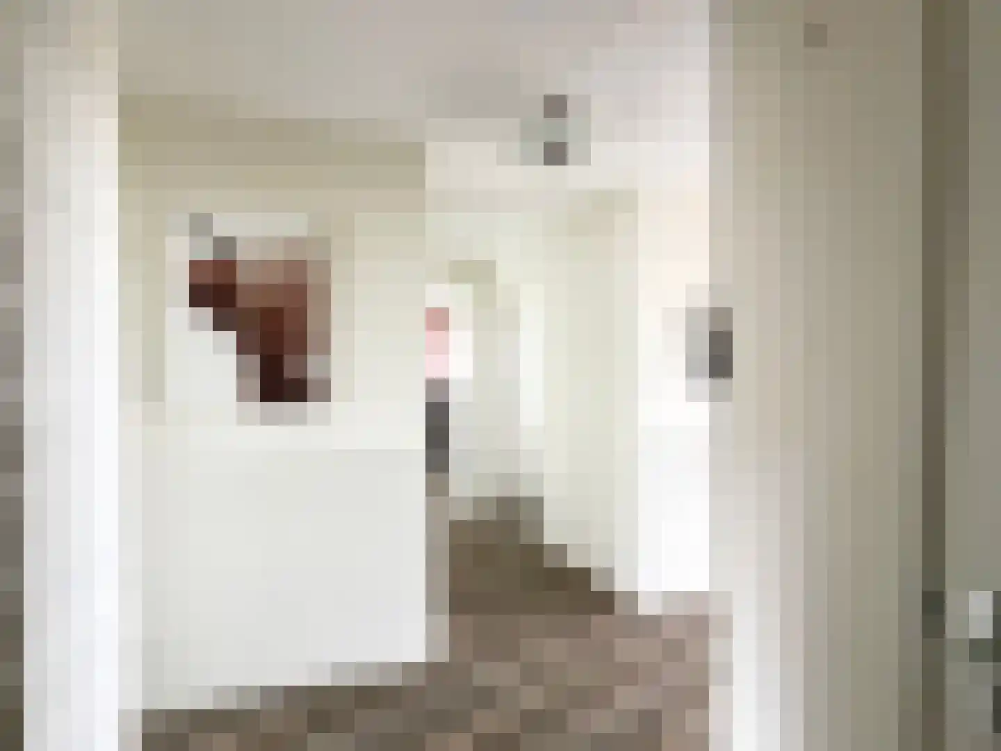 Zuiderzee op Zuid 33 Biddinghuizen thumbnail 7