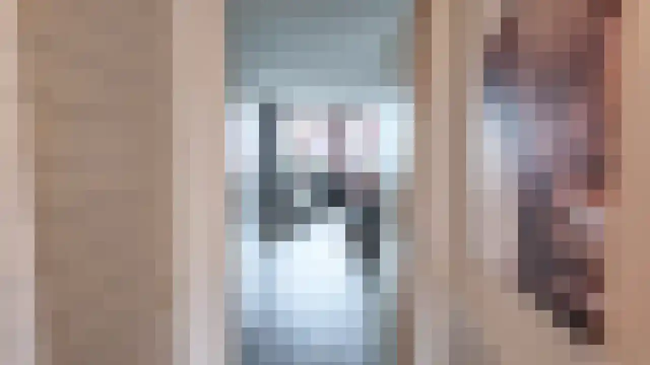 Zuiderzee op Zuid 33 Biddinghuizen thumbnail 8