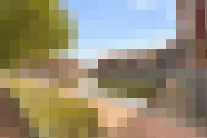 Zuiderzee op Zuid 36 Biddinghuizen thumbnail 10