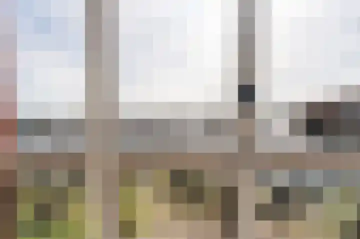 Zuiderzee op Zuid 36 Biddinghuizen thumbnail 25