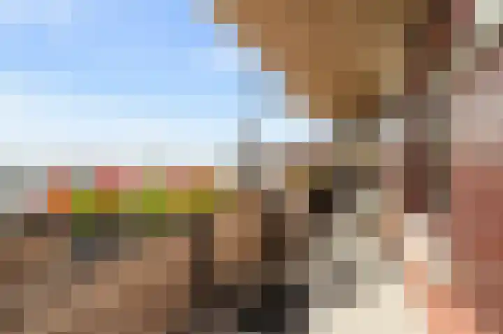 Zuiderzee op Zuid 36 Biddinghuizen thumbnail 29