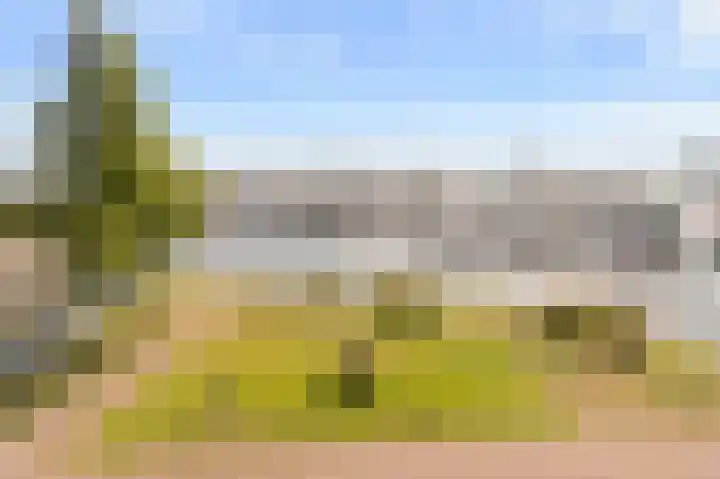 Zuiderzee op Zuid 36 Biddinghuizen thumbnail 30