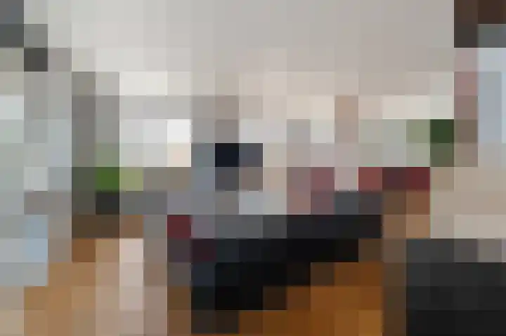 Zuiderzee op Zuid 36 Biddinghuizen thumbnail 4