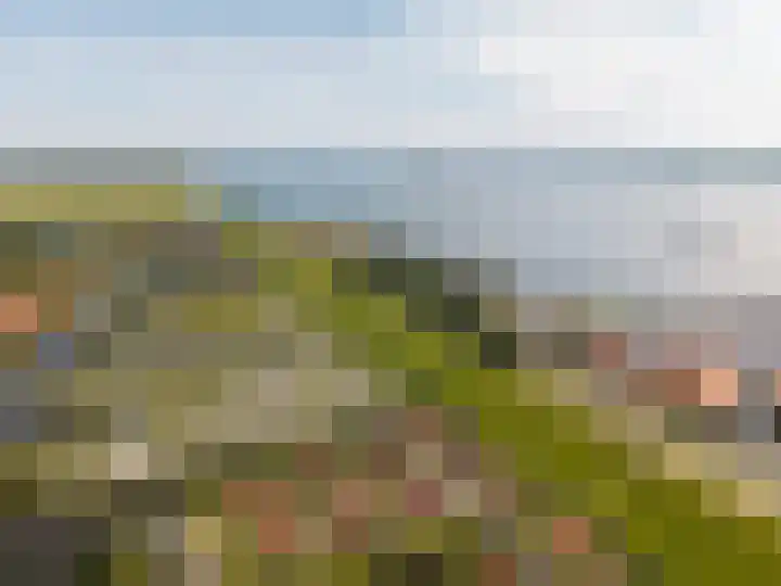 Zuiderzee op Zuid 36 Biddinghuizen thumbnail 61