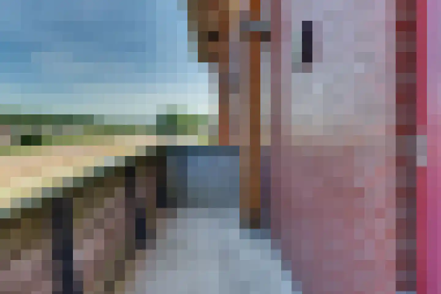 Zuiderzee op Zuid 51 Biddinghuizen thumbnail 31