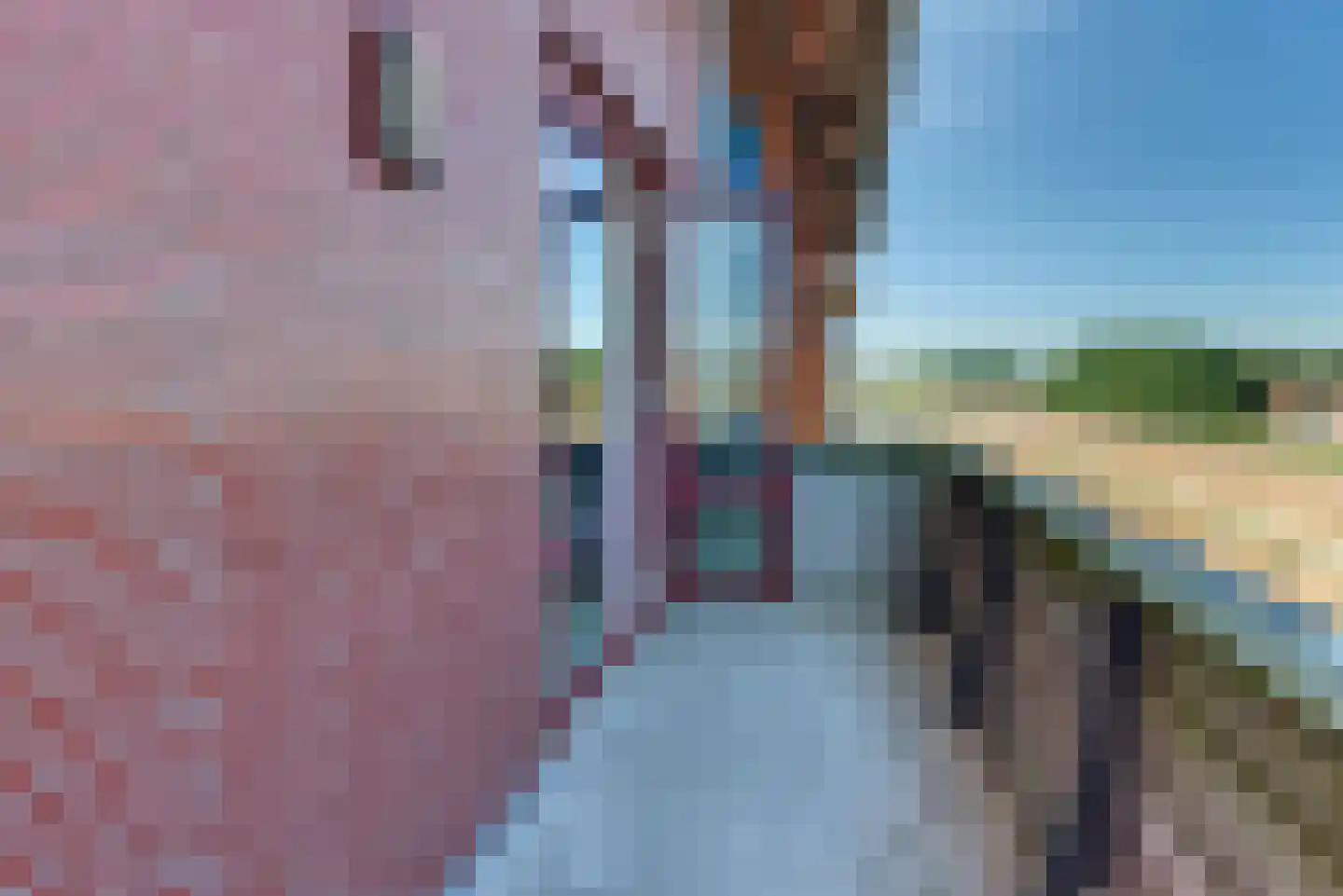 Zuiderzee op Zuid 51 Biddinghuizen thumbnail 32