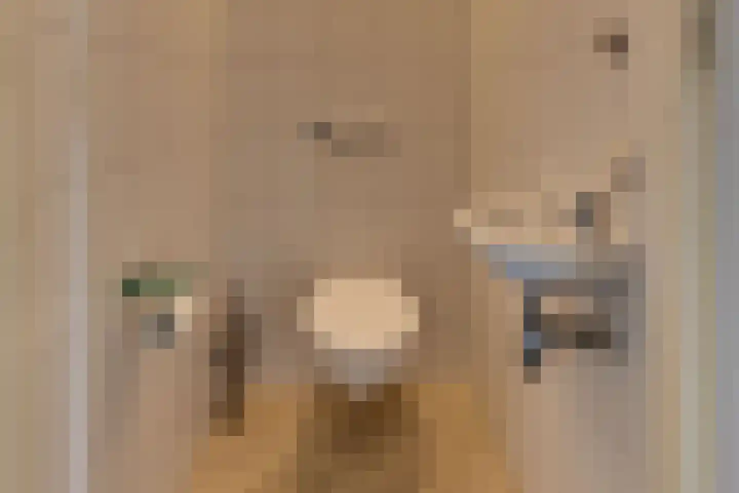 Zuiderzee op Zuid 51 Biddinghuizen thumbnail 7