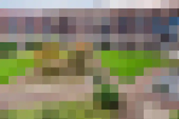 Zuiderzee op Zuid 54 Biddinghuizen thumbnail 4