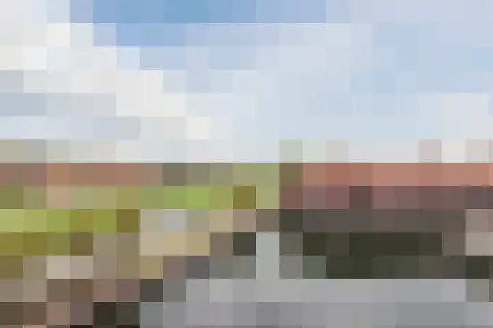 Zuiderzee op Zuid 54 Biddinghuizen thumbnail 43