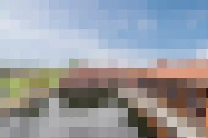 Zuiderzee op Zuid 54 Biddinghuizen thumbnail 44