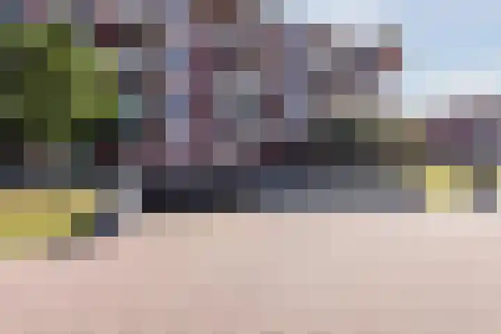 Zuiderzee op Zuid 54 Biddinghuizen thumbnail 47