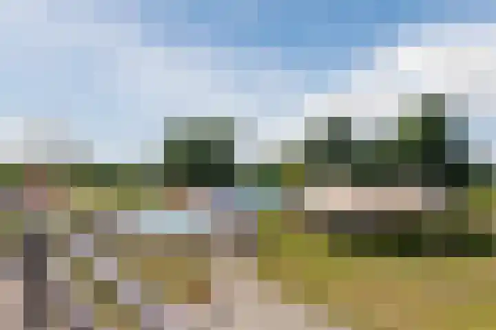 Zuiderzee op Zuid 54 Biddinghuizen thumbnail 50