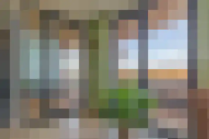 Zuiderzee op Zuid 60 Biddinghuizen thumbnail 16