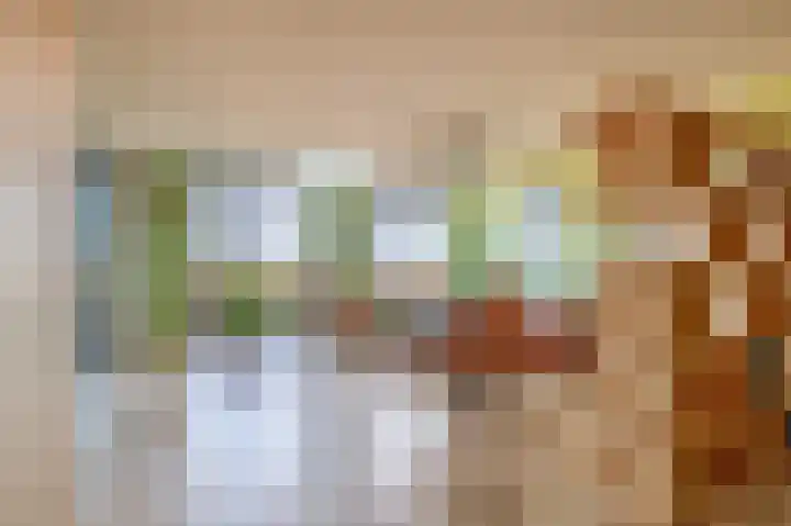 Zuiderzee op Zuid 60 Biddinghuizen thumbnail 6