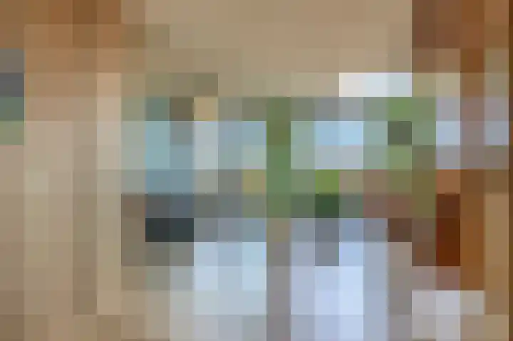 Zuiderzee op Zuid 60 Biddinghuizen thumbnail 7