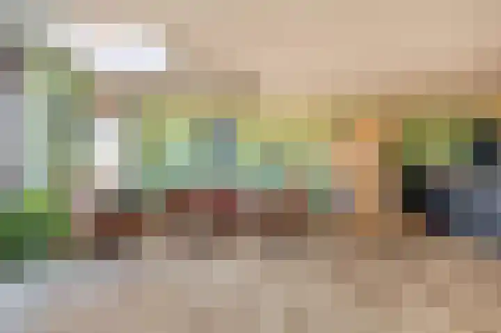 Zuiderzee op Zuid 60 Biddinghuizen thumbnail 8