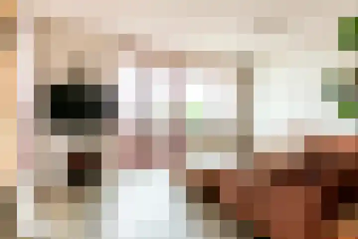Zuiderzee op Zuid 69 Biddinghuizen thumbnail 14