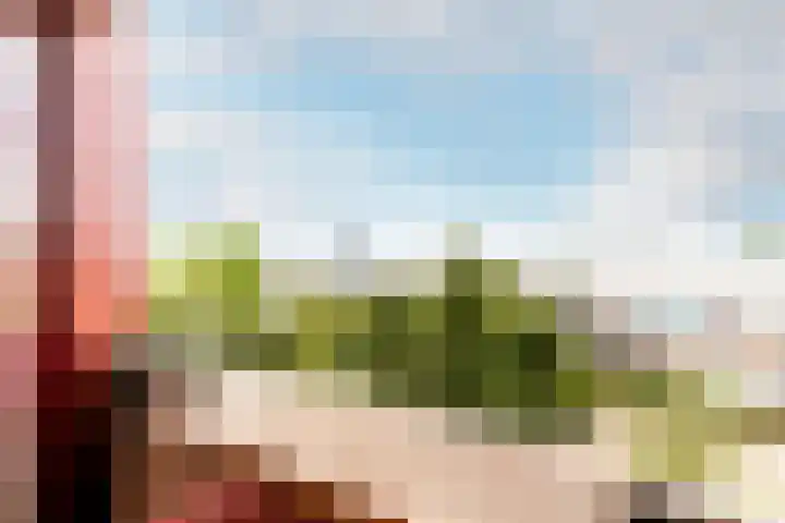 Zuiderzee op Zuid 69 Biddinghuizen thumbnail 29